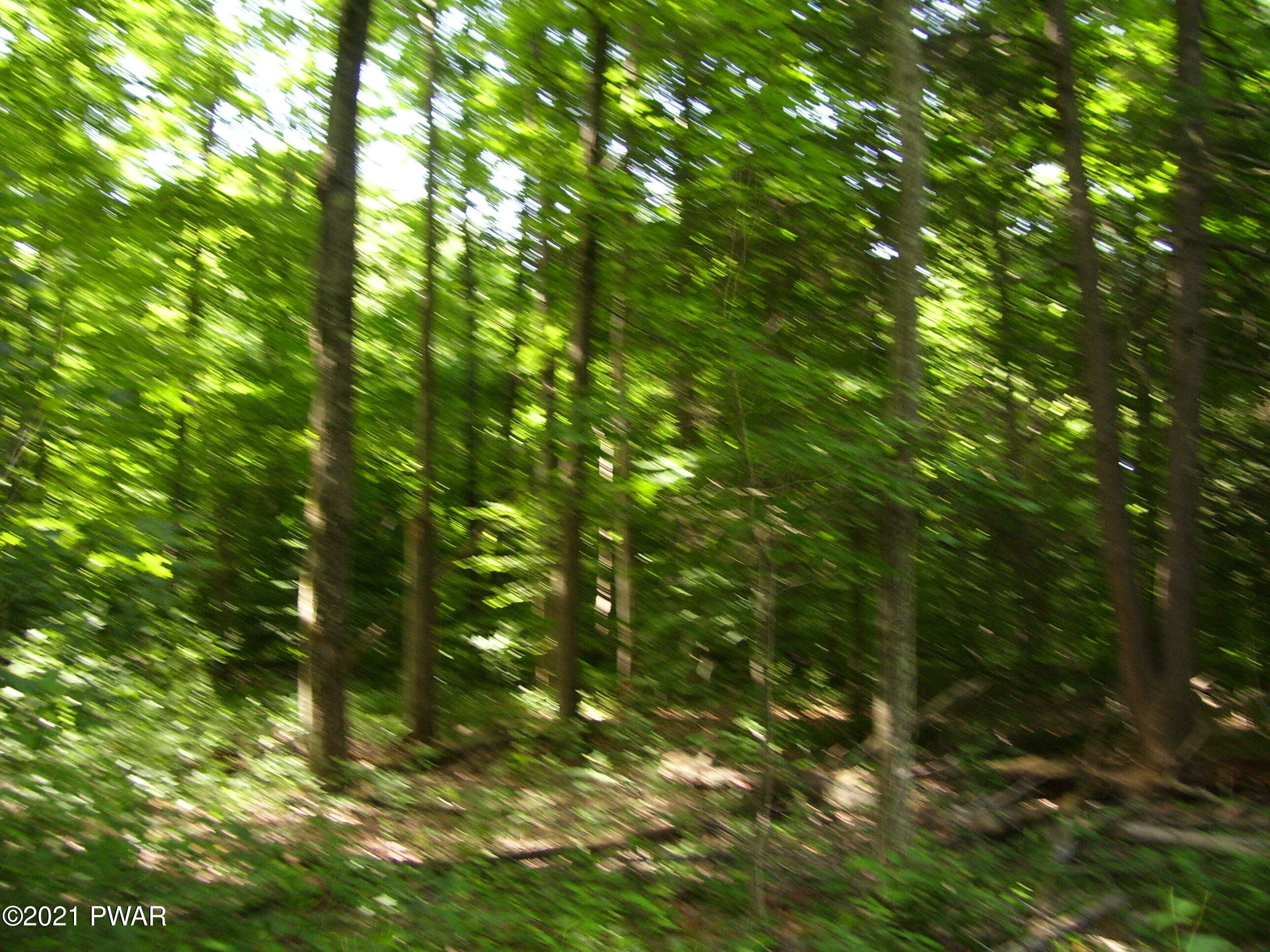 0 Forks Bridge Road Newfoundland, PA 18445 - Photo 7 of 16