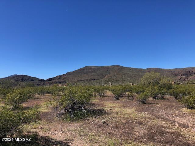 North Artesiano Road, Unit 4 Tucson, AZ 85743 - Photo 5 of 18 Gallery Image 5