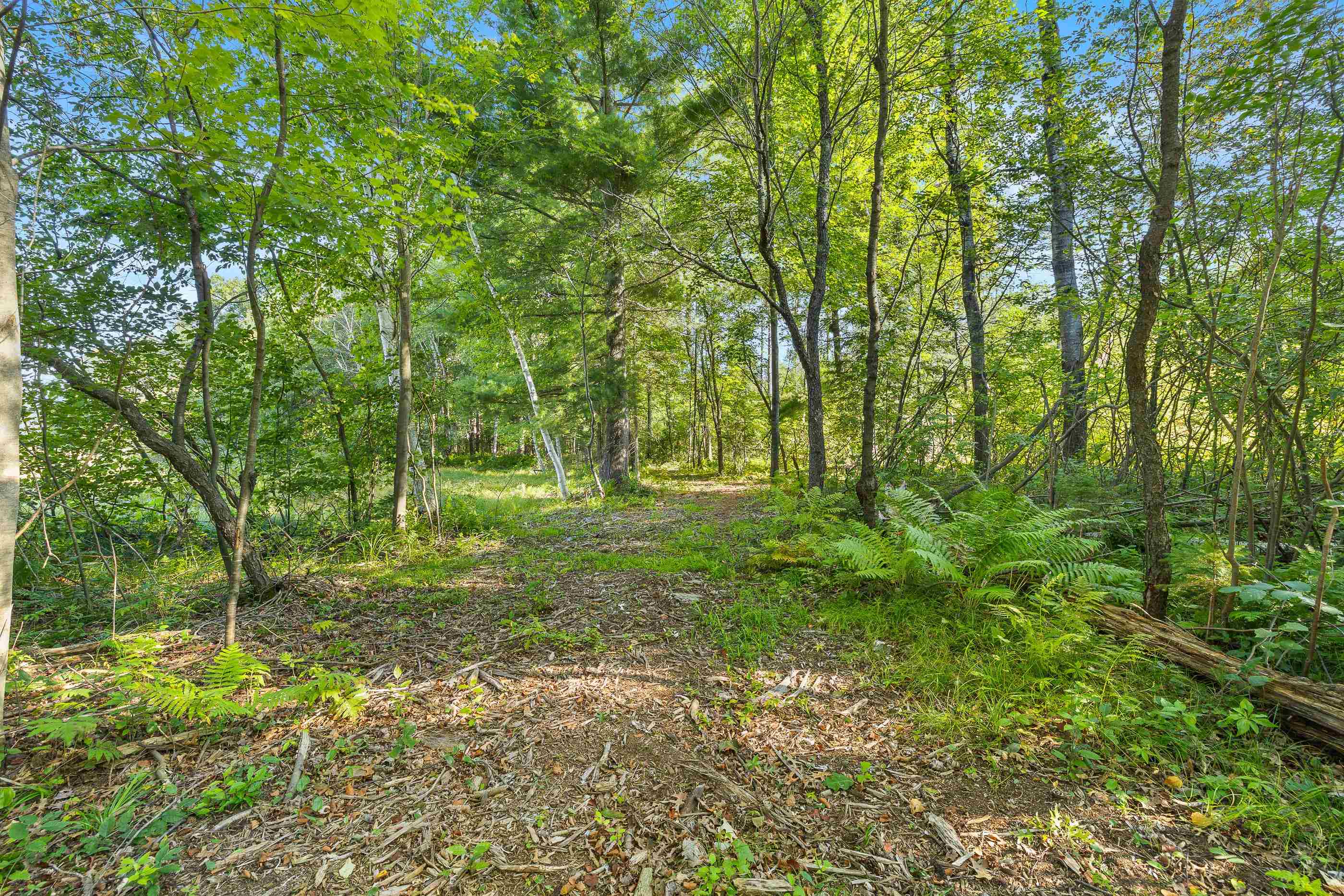 Lot 2 Pine Shore Lane Rhinelander, WI 54501 - Photo 1 of 1