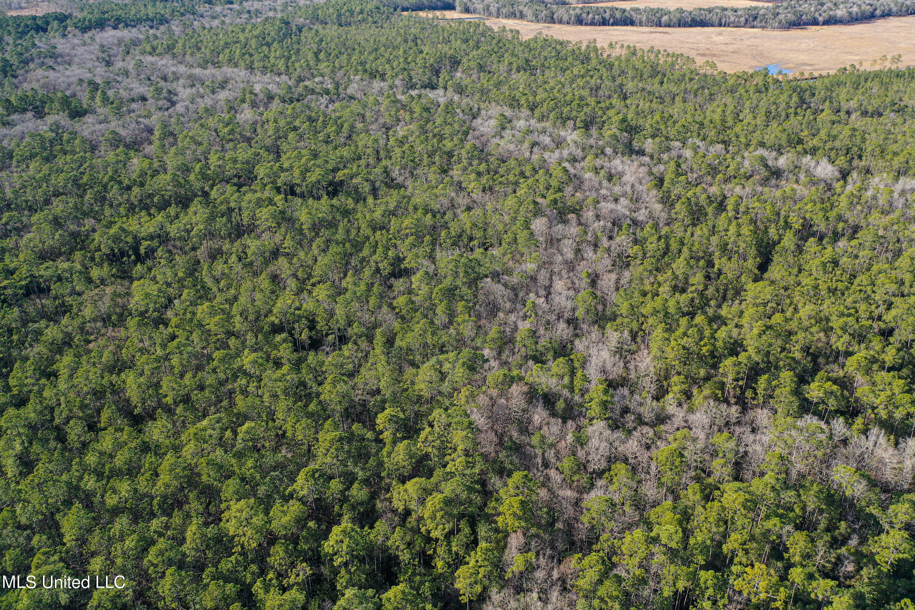 0 Gavin Hamilton Road Lucedale, MS 39452 - Photo 1 of 14 DJI_0409