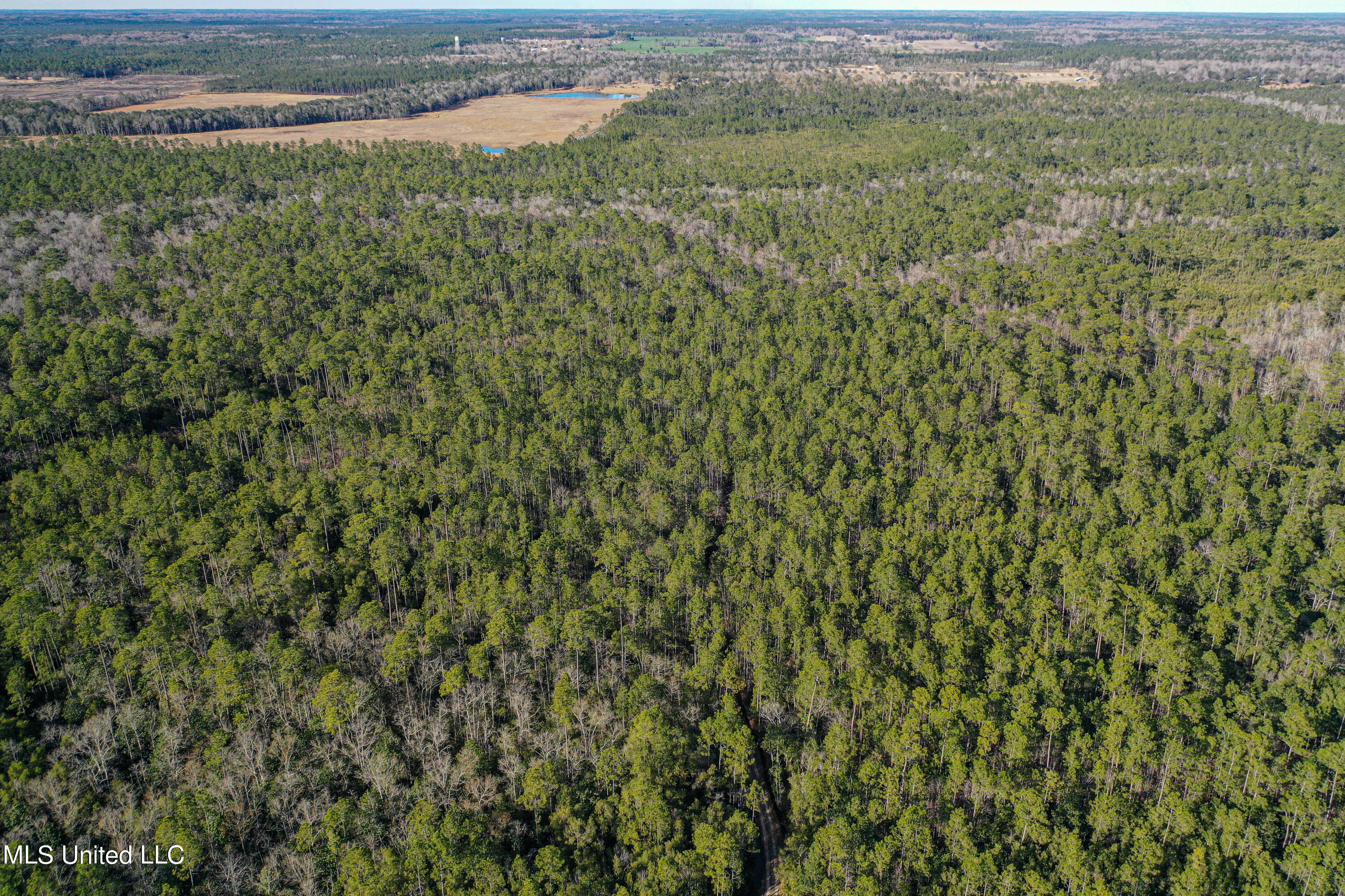 0 Gavin Hamilton Road Lucedale, MS 39452 - Photo 11 of 14 DJI_0415
