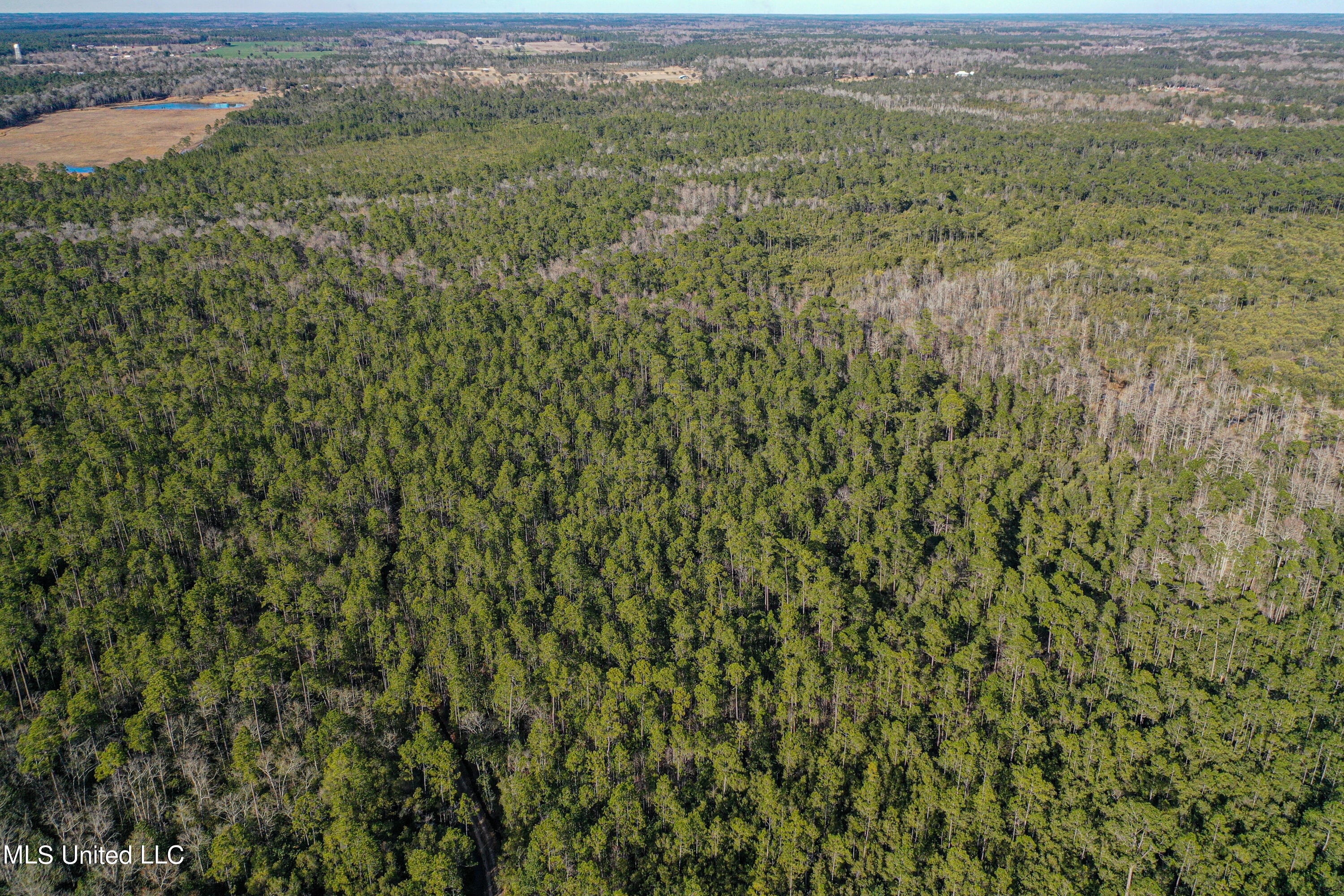 0 Gavin Hamilton Road Lucedale, MS 39452 - Photo 12 of 14 DJI_0416