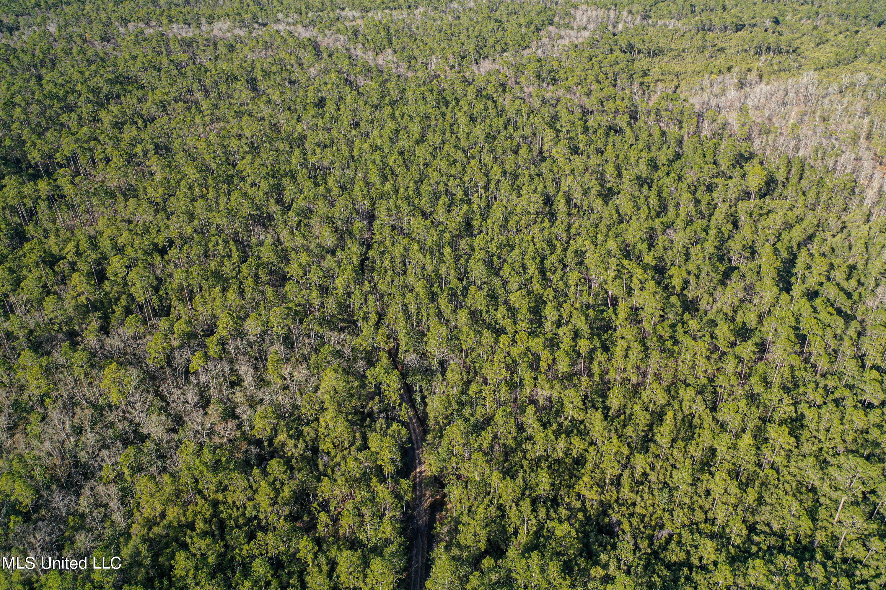 0 Gavin Hamilton Road Lucedale, MS 39452 - Photo 13 of 14 DJI_0417