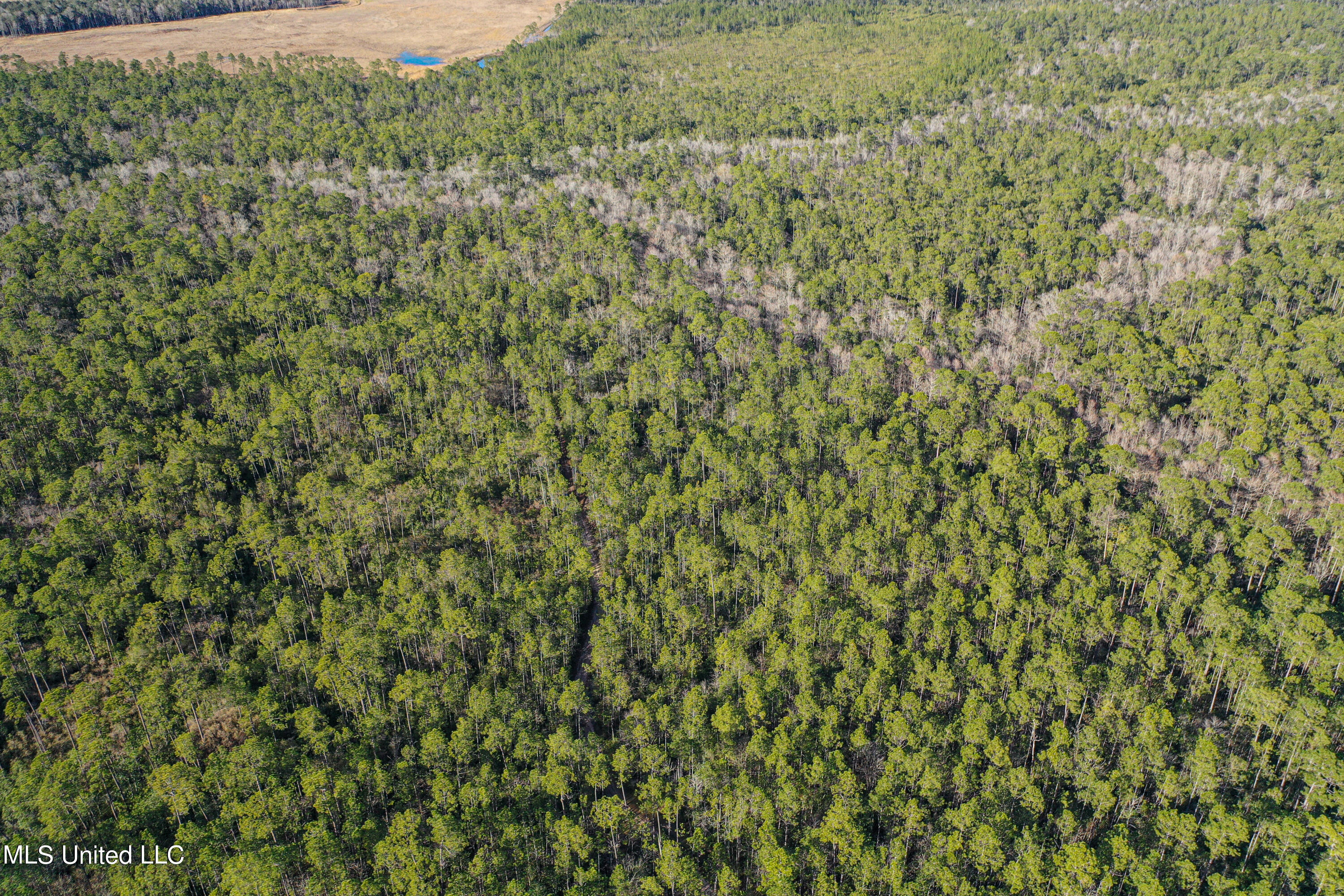 0 Gavin Hamilton Road Lucedale, MS 39452 - Photo 14 of 14 DJI_0419