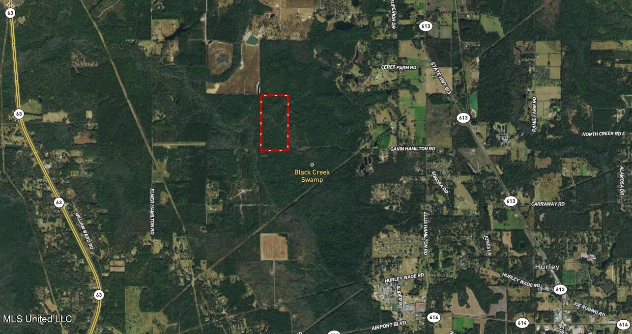 0 Gavin Hamilton Road Lucedale, MS 39452 - Photo 2 of 14 Screenshot 2024-01-11 120547