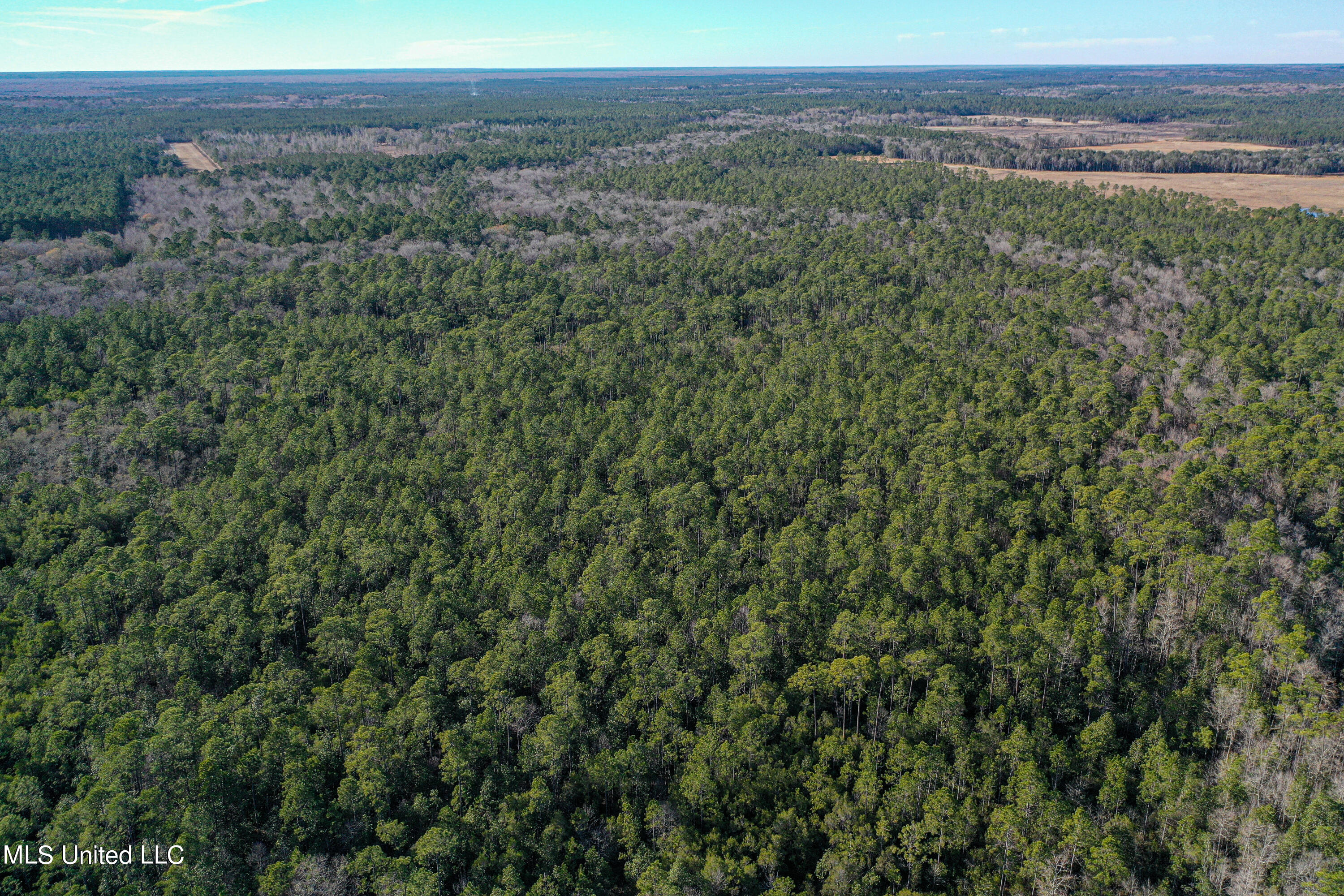 0 Gavin Hamilton Road Lucedale, MS 39452 - Photo 5 of 14 DJI_0408