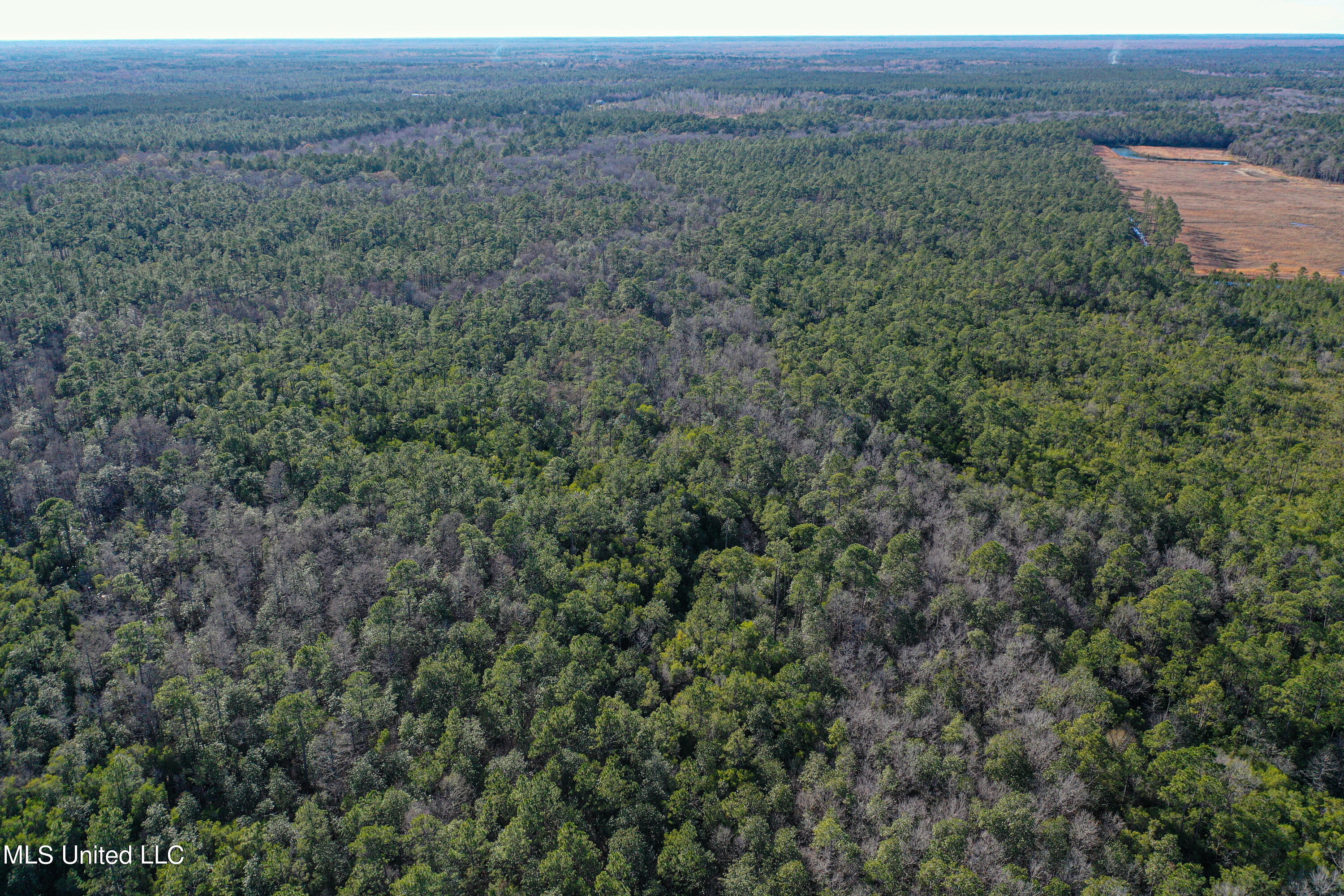 0 Gavin Hamilton Road Lucedale, MS 39452 - Photo 7 of 14 DJI_0410