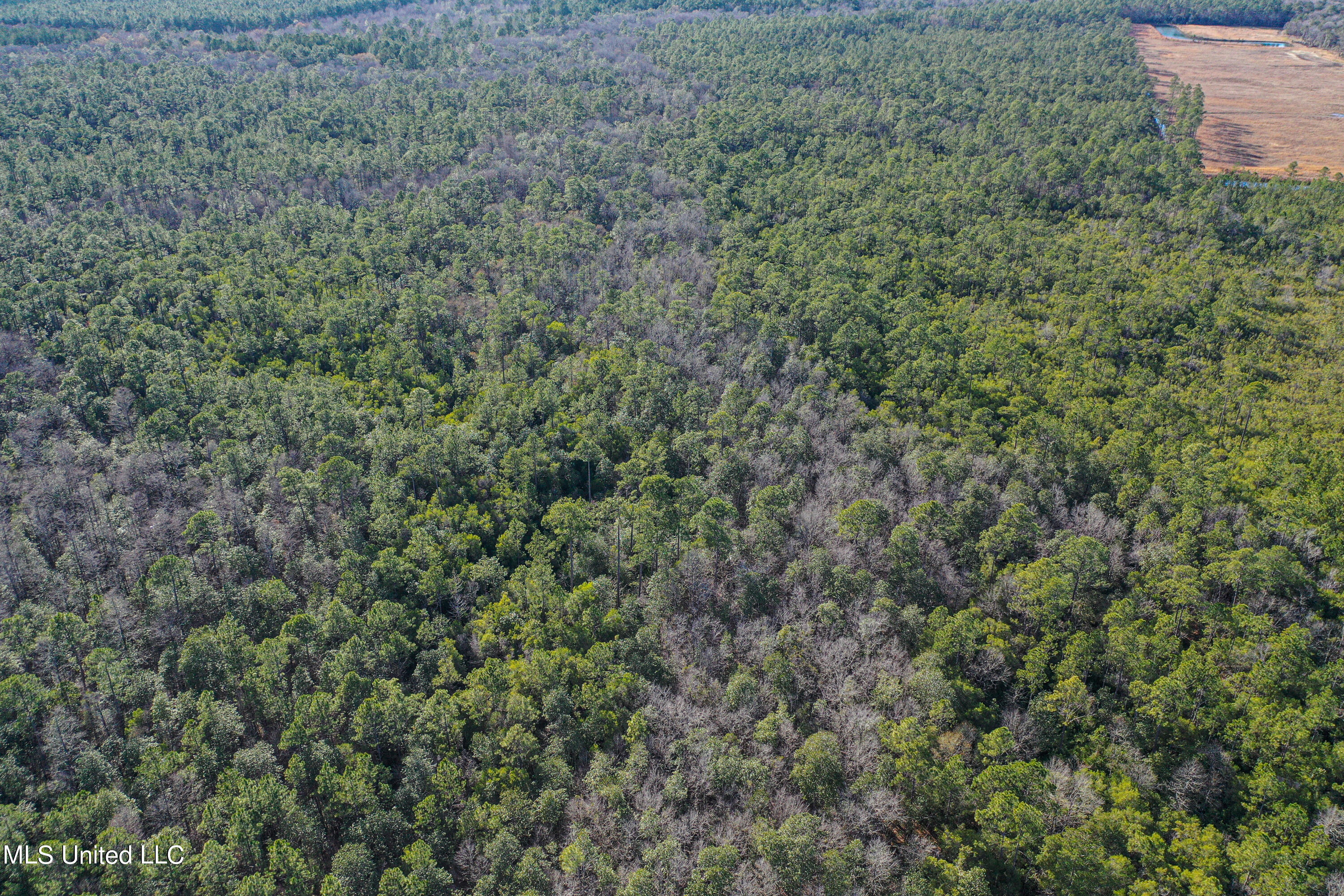0 Gavin Hamilton Road Lucedale, MS 39452 - Photo 8 of 14 DJI_0411