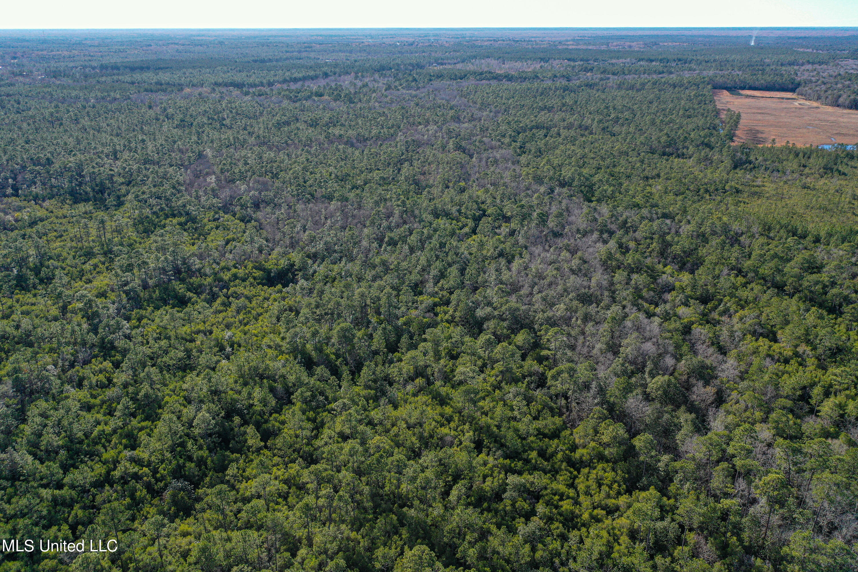 0 Gavin Hamilton Road Lucedale, MS 39452 - Photo 9 of 14 DJI_0413