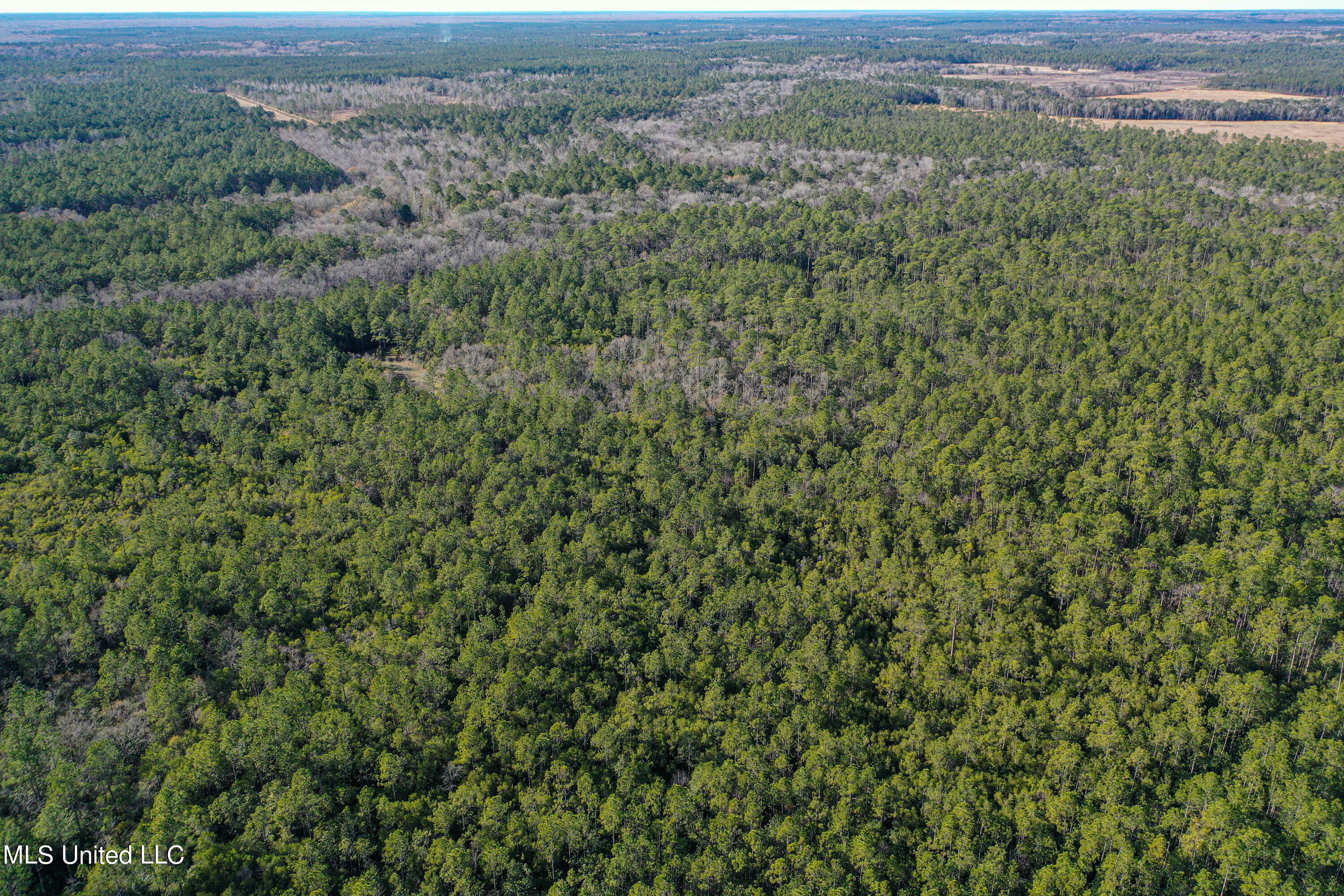 0 Gavin Hamilton Road Lucedale, MS 39452 - Photo 10 of 14 DJI_0414