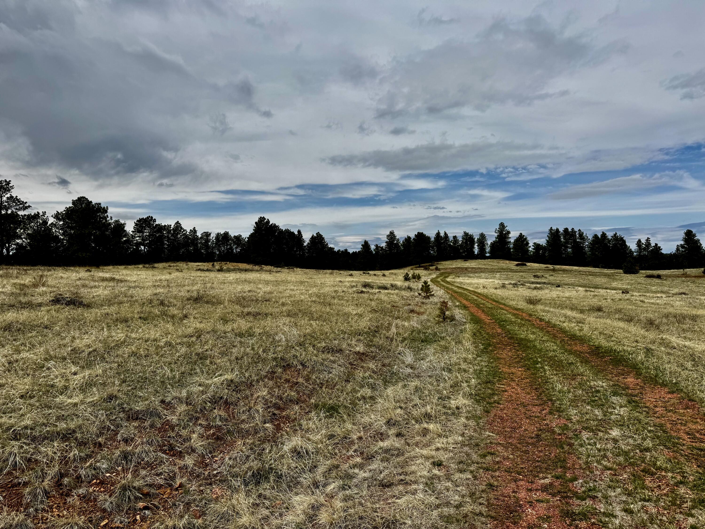 Recluse Hills Road Recluse, WY 82725 - Photo 5 of 13 IMG_7625