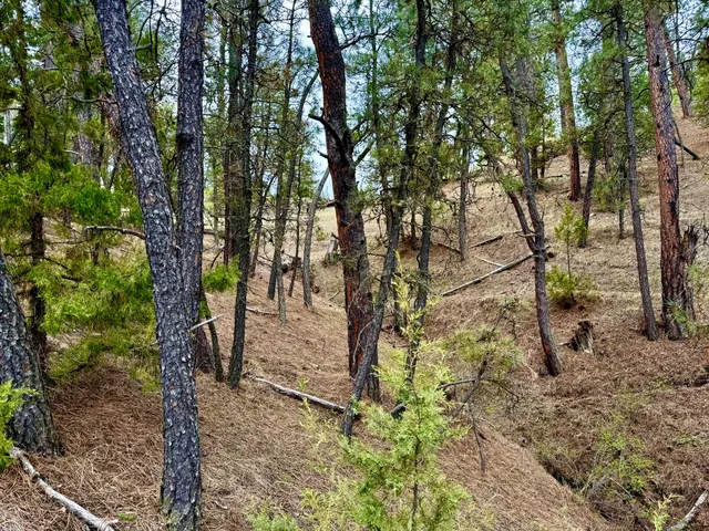 $189,000 | Recluse Hills Road, Recluse, WY 82725