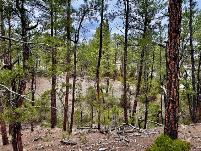 $189,000 | Recluse Hills Road, Recluse, WY 82725