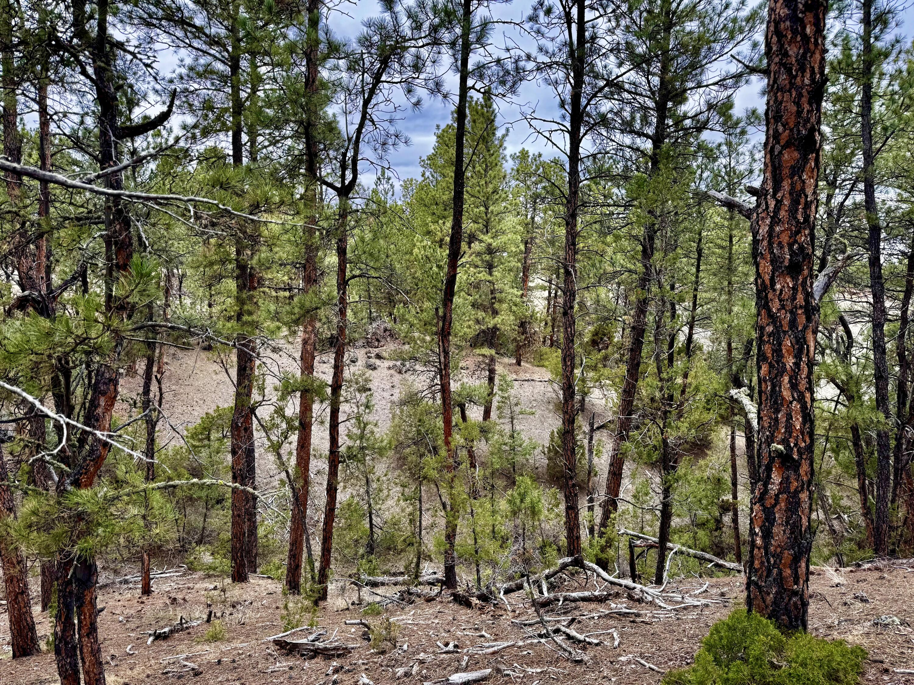 Recluse Hills Road Recluse, WY 82725 - Photo 10 of 13 IMG_7542