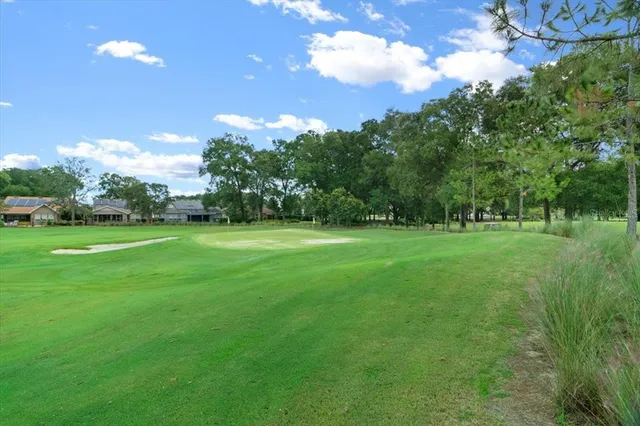 a view of a yard with large trees