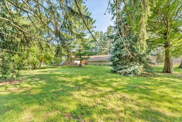 a picture of a person on a wall