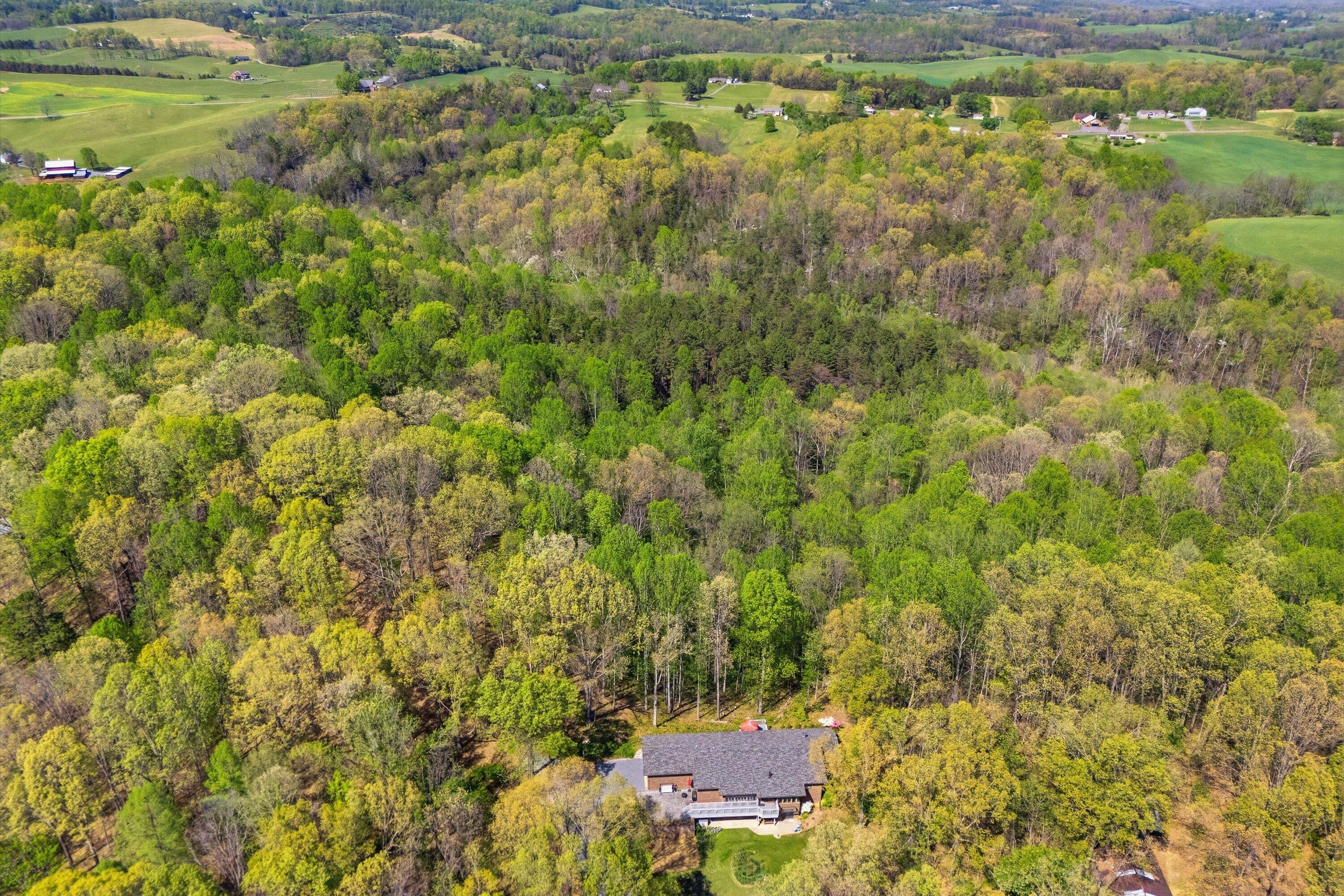 1124 Old Hollow Road Buchanan, VA 24066 - Photo 63 of 73 a view of a yard with an outdoor space
