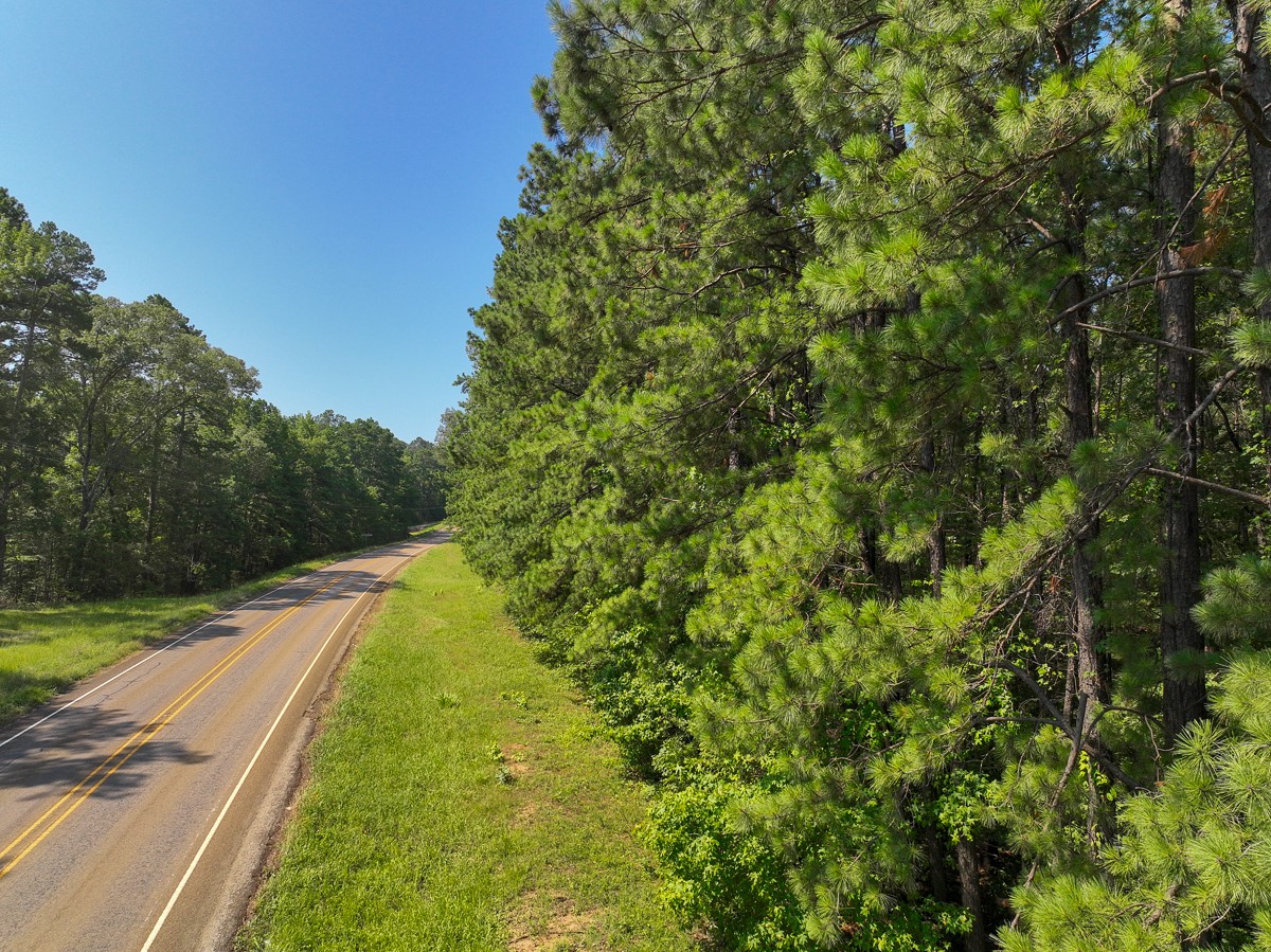 2 Highway 87 South Milam, TX 75959 - Photo 9 of 11 a view of a yard with a tree