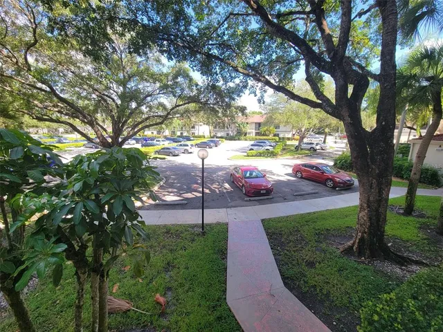 a view of yard with tree s