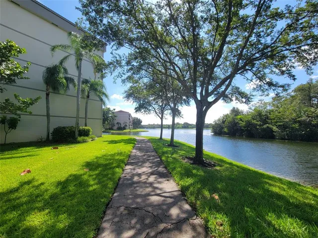 a view of a park with large trees