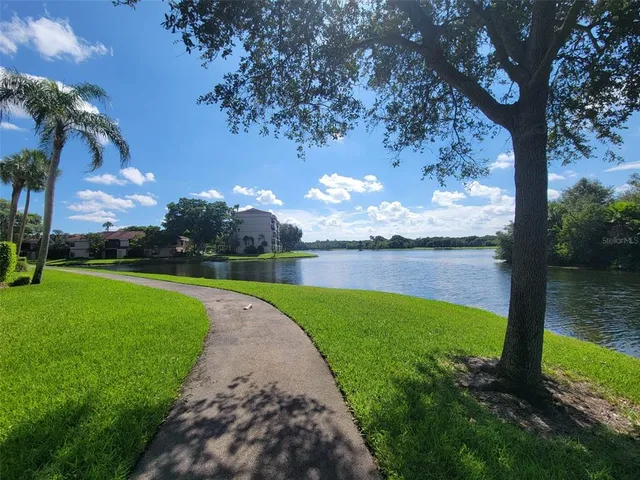 a view of a garden with a fountain