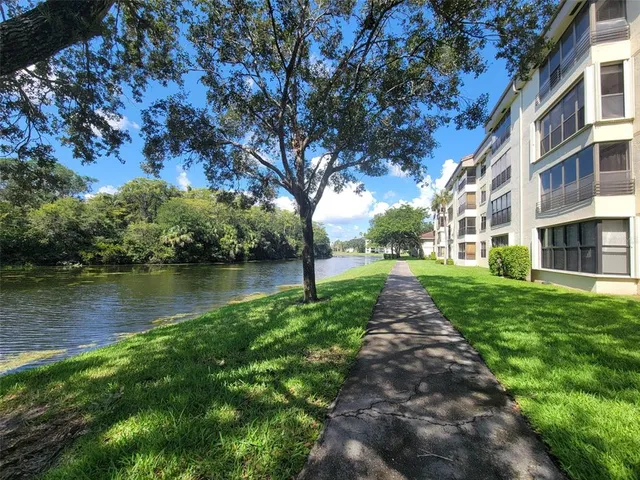 a view of park with large trees