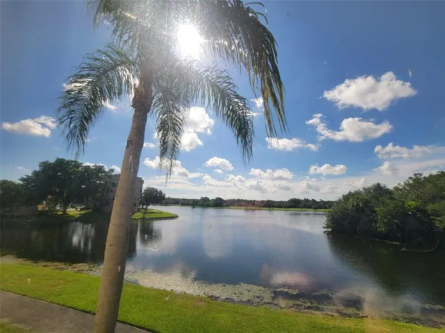 a lake view with boat and palm trees
