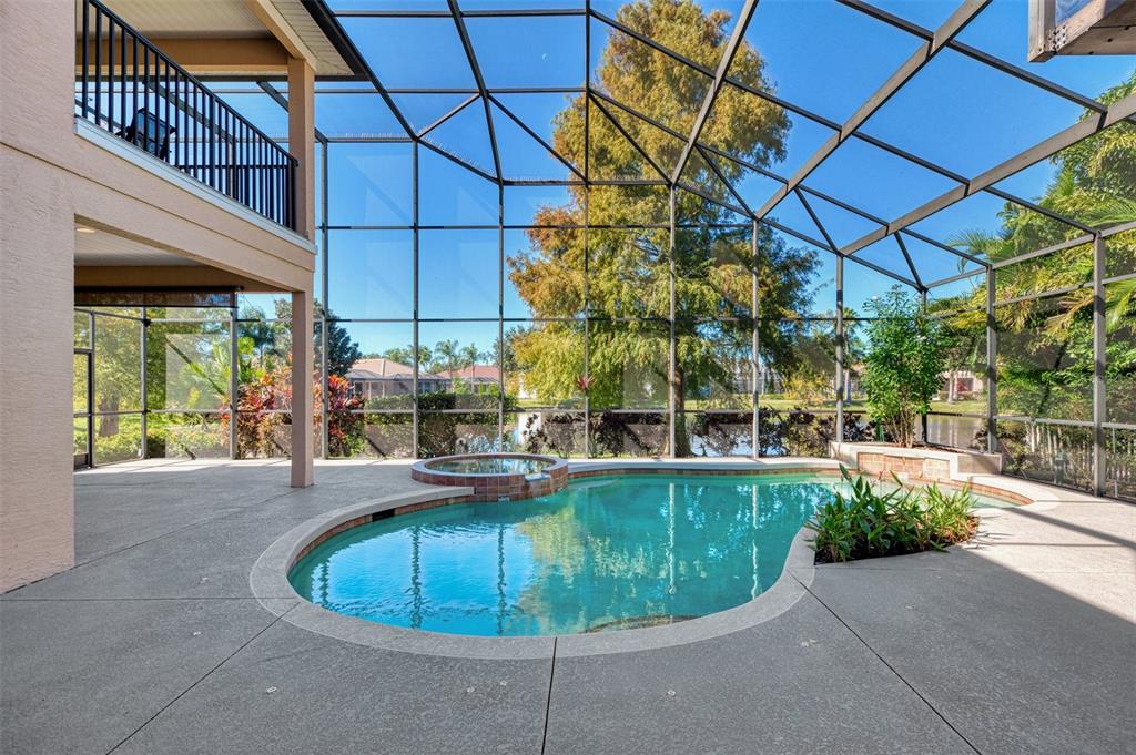 6610 Coopers Hawk Court Lakewood Ranch, FL 34202 - Photo 78 of 97 a view of a swimming pool with a patio