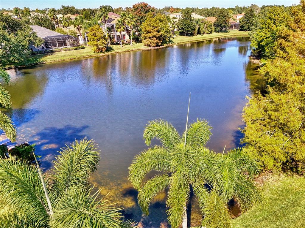 6610 Coopers Hawk Court Lakewood Ranch, FL 34202 - Photo 94 of 97 an aerial view of residential houses with outdoor space and swimming pool