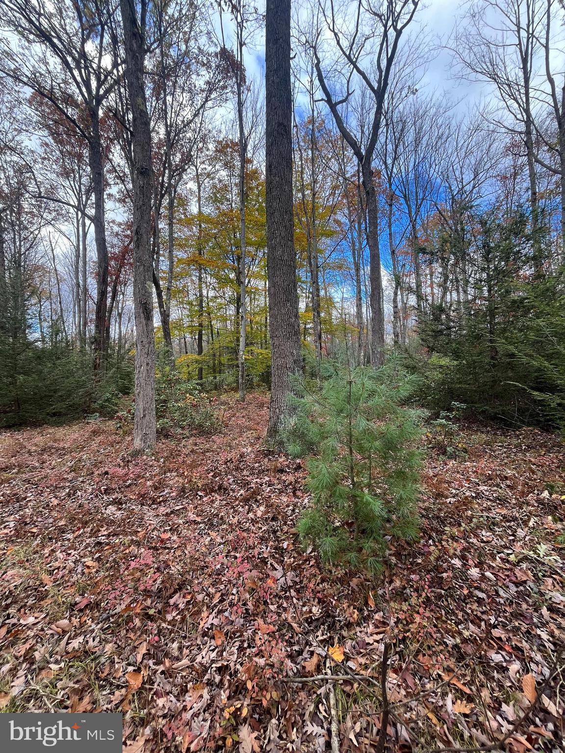 North Woods Road Frenchville, PA 16836 - Photo 11 of 17