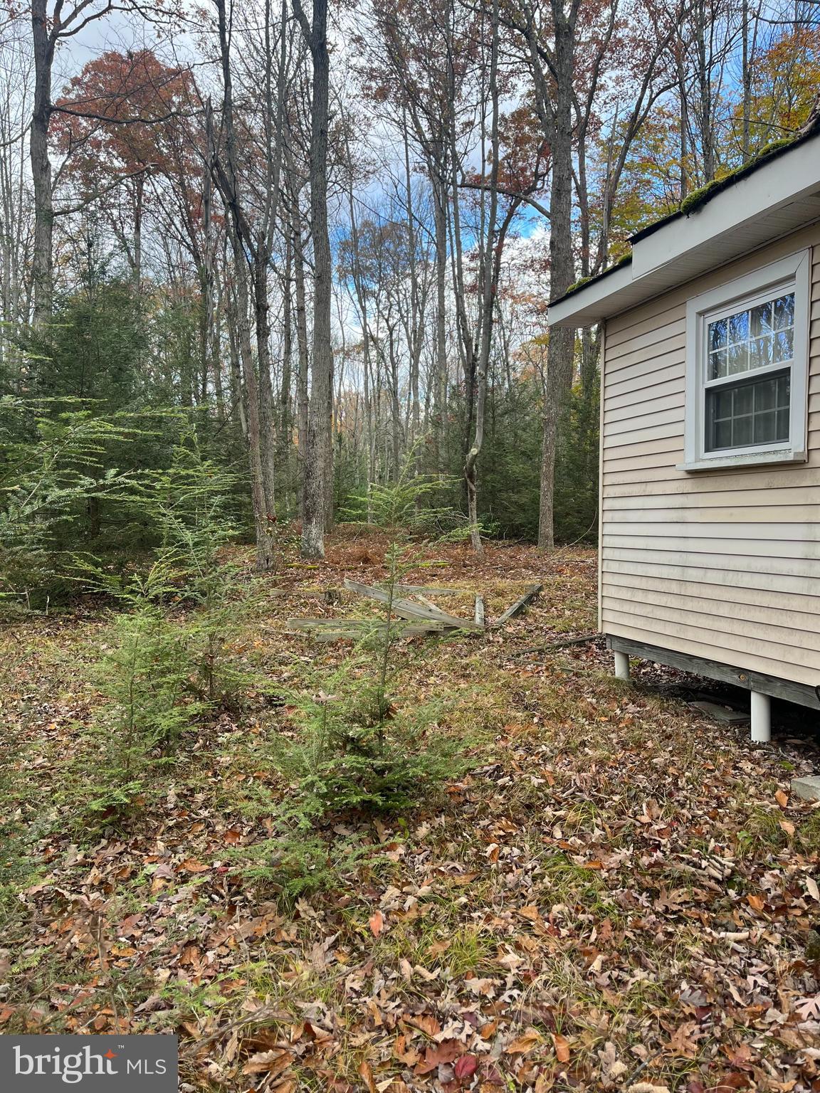 North Woods Road Frenchville, PA 16836 - Photo 15 of 17