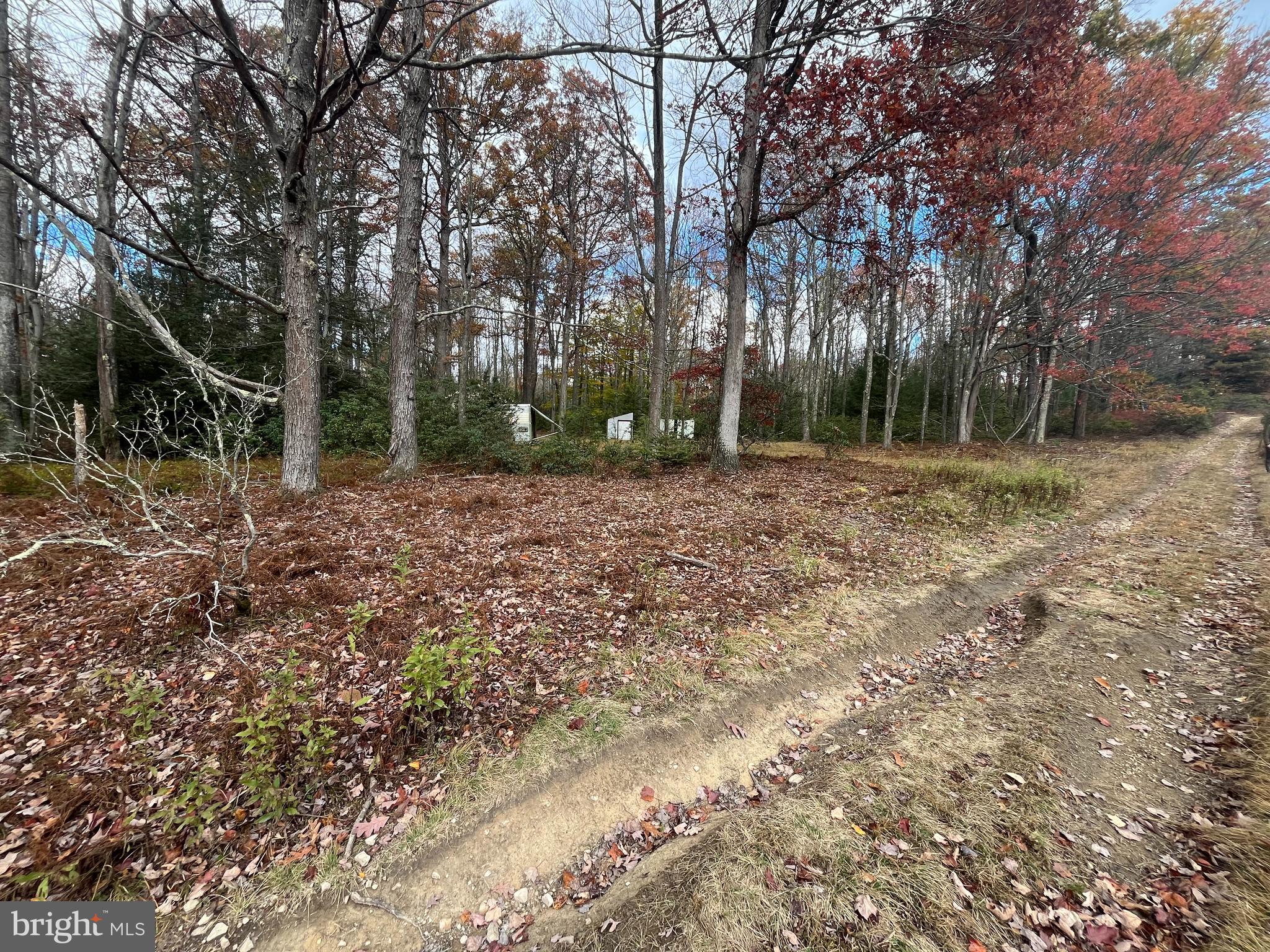 North Woods Road Frenchville, PA 16836 - Photo 3 of 17