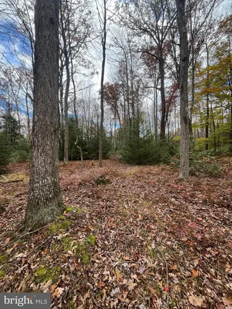 $79,500 | North Woods Road, Frenchville, PA 16836
