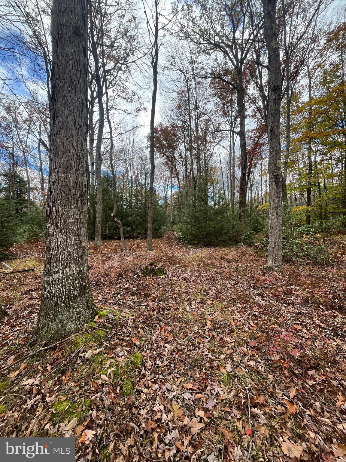 North Woods Road Frenchville, PA 16836 - Photo 6 of 17