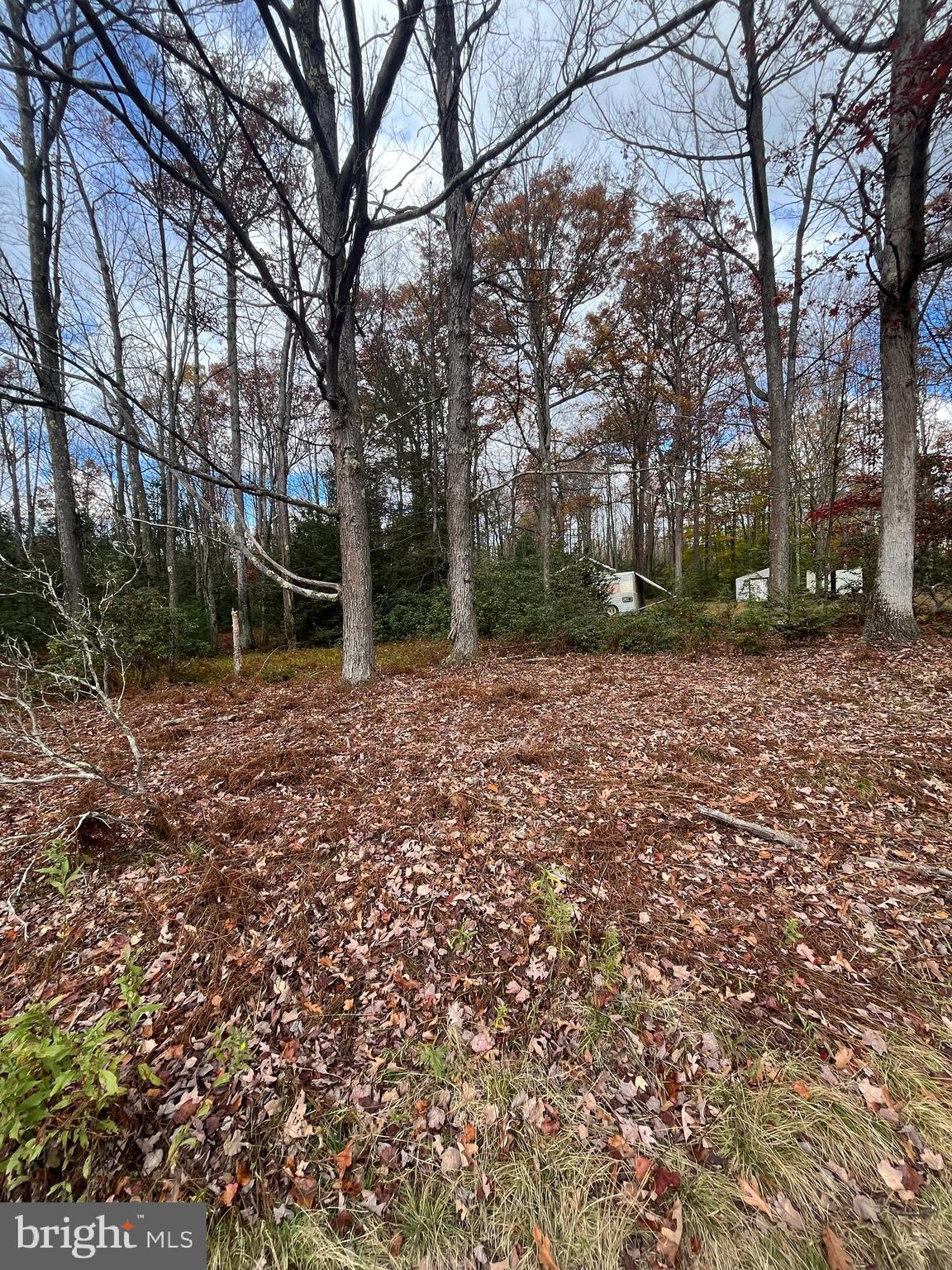 North Woods Road Frenchville, PA 16836 - Photo 9 of 17