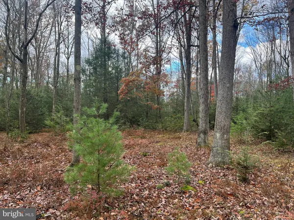 $79,500 | North Woods Road, Frenchville, PA 16836