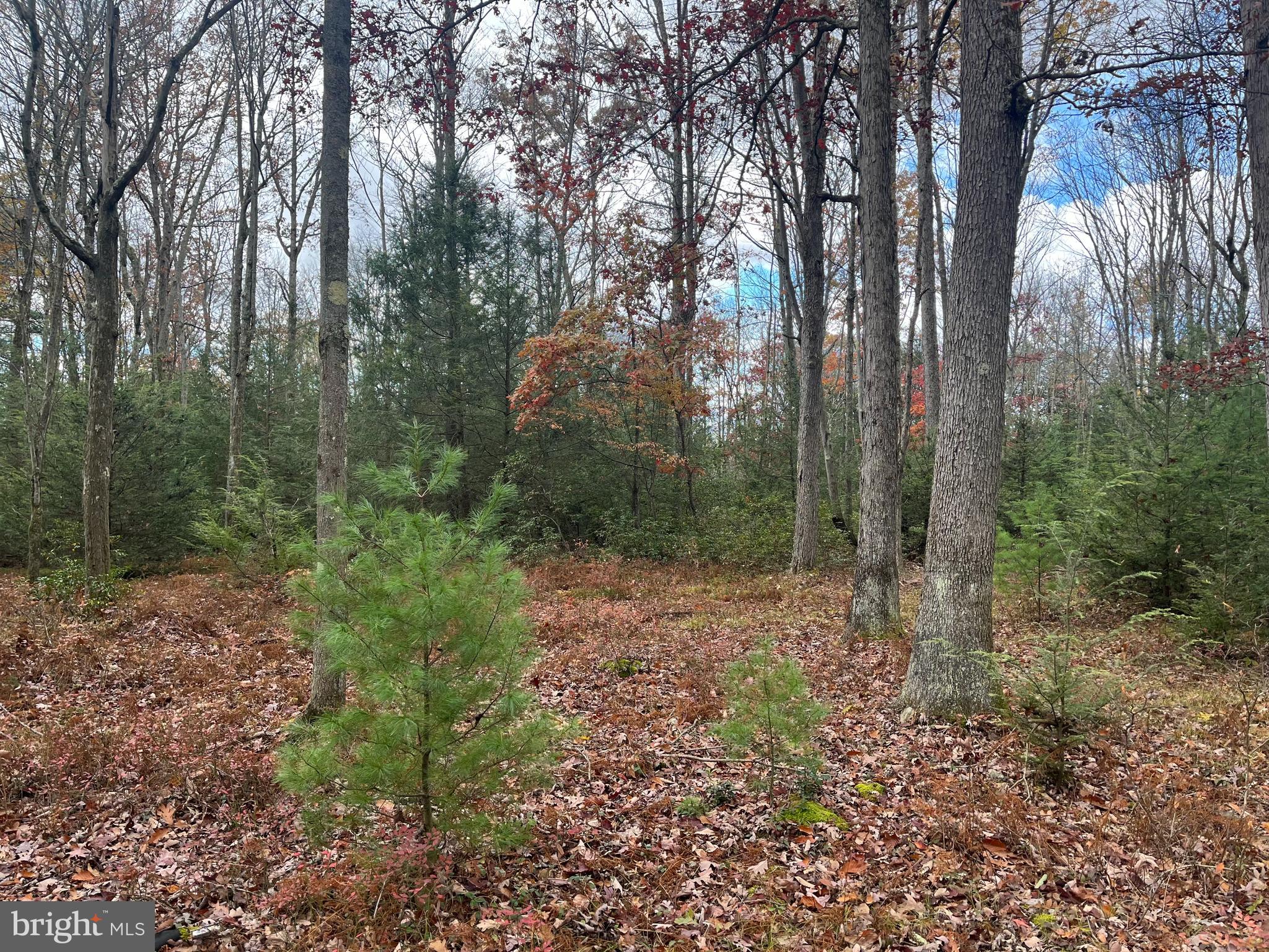 North Woods Road Frenchville, PA 16836 - Photo 10 of 17