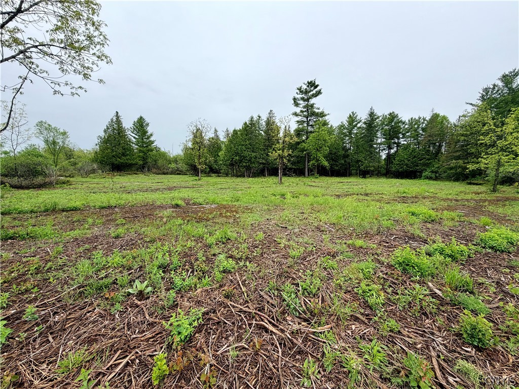 8 County Rte Cape Cape Vincent, NY 13618 - Photo 3 of 13