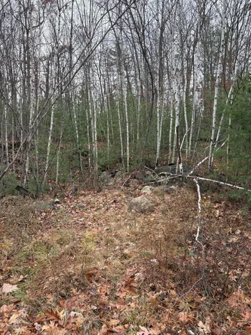 $140,000 | M11-l29-006 Joseph Way, East Waterboro, ME 04030