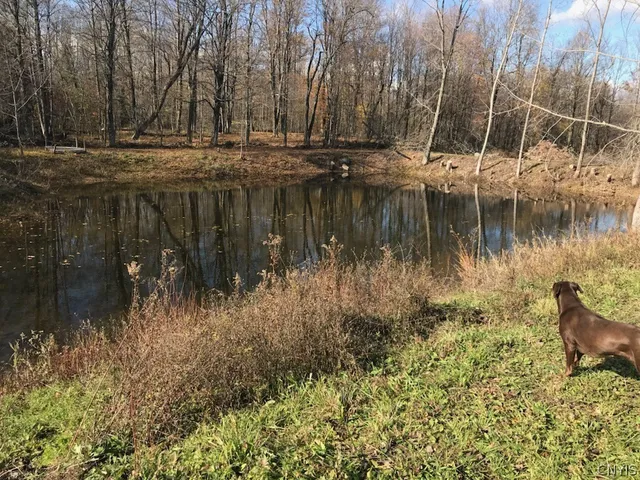 $519,900 | 5503 Northrup Road, Smithfield, NY 13408