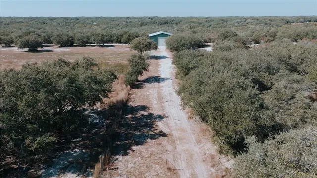 a view of a dry yard with green space