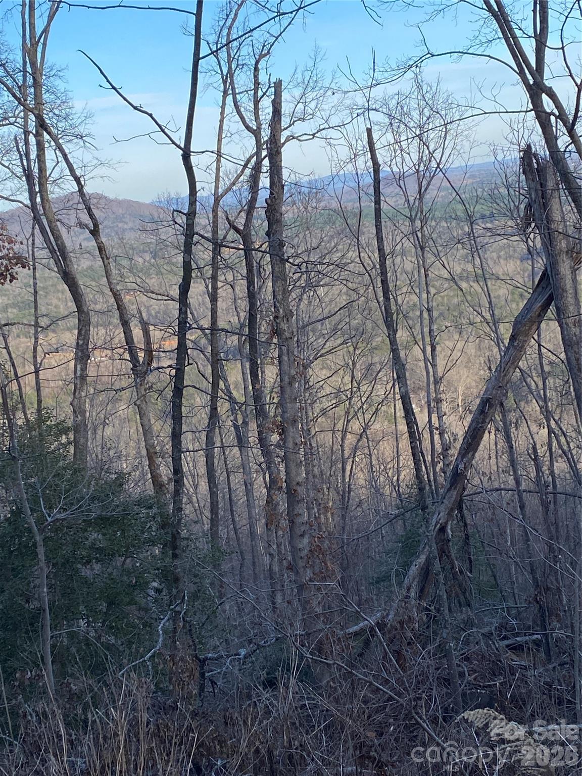 0 Meditation Rdg Dr Extension, Unit 21 22 Nebo, NC 28761 - Photo 8 of 8