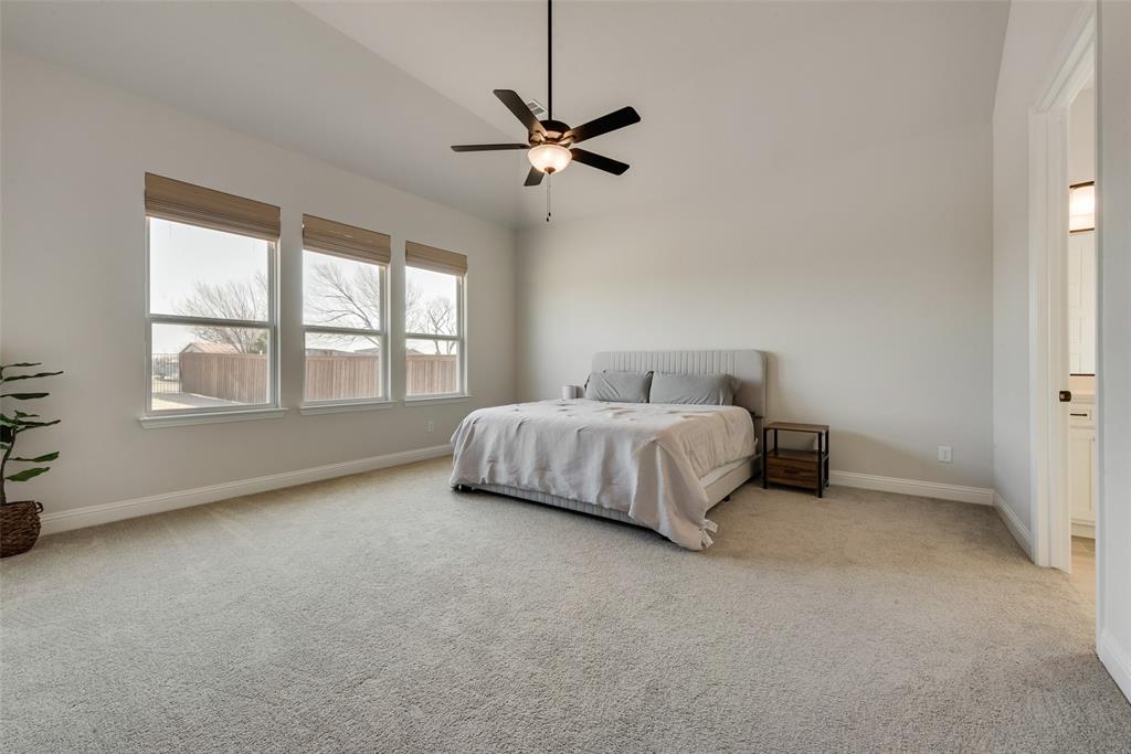 8922 Edna Place Rowlett, TX 75089 - Photo 22 of 37 Carpeted bedroom with baseboards and ceiling fan