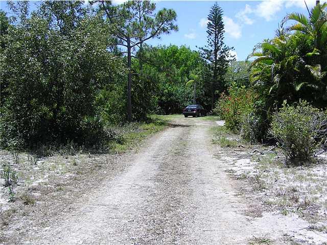 5164 Southeast Horseshoe Point Road Stuart, FL 34997 - Photo 11 of 25 a view of a dirt road with trees in the background