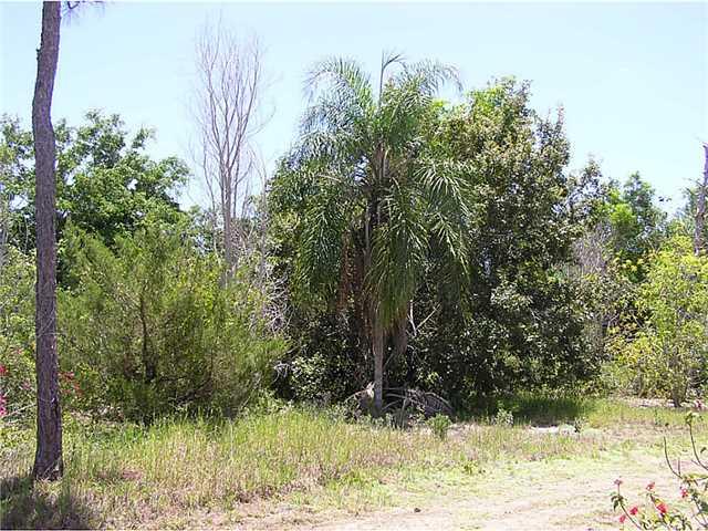 5164 Southeast Horseshoe Point Road Stuart, FL 34997 - Photo 6 of 25 a view of a yard