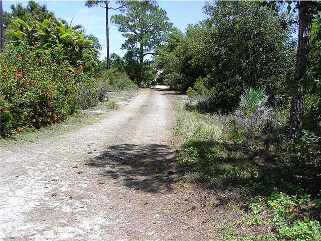 5164 Southeast Horseshoe Point Road Stuart, FL 34997 - Photo 10 of 25 a view of a dirt pathway both side of yard