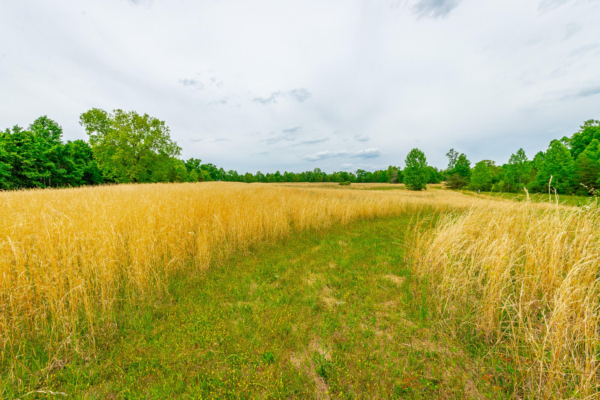0 Ray Gadd Road Graysville, TN 37338 - Photo 74 of 109 Ray Gadd Road Lot HD-19