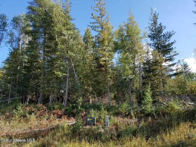 $117,500 | 113 Trail Blazer Court, Pinehurst, ID 83850