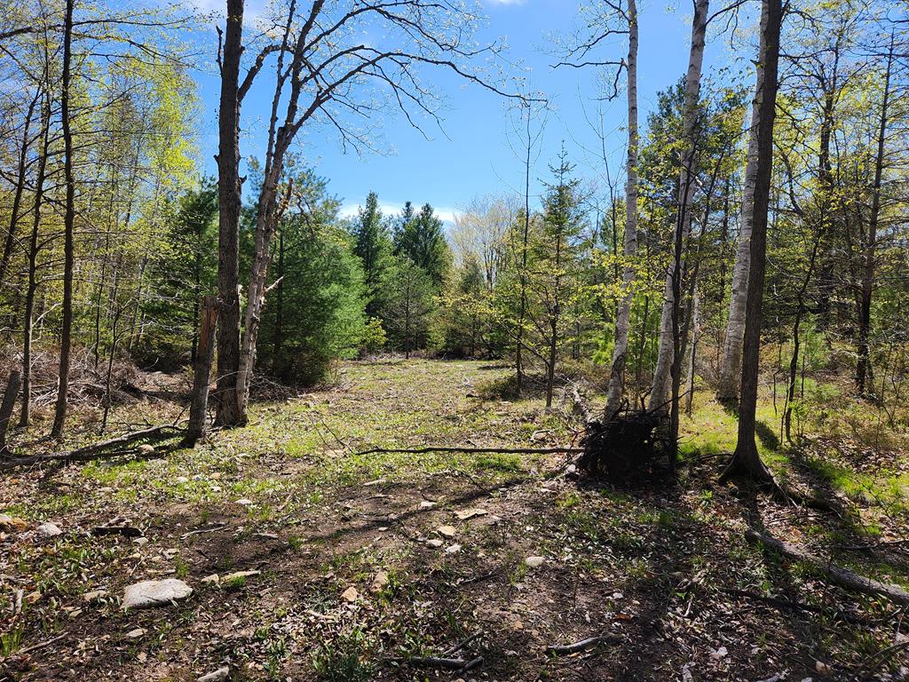 Tbd Old Stage Road Sister Bay, WI 54234 - Photo 1 of 13