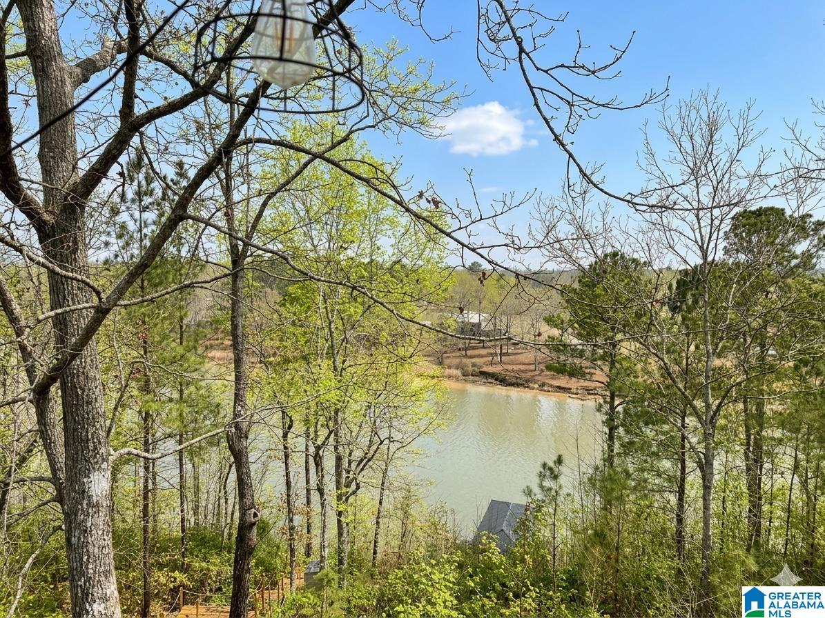 1605 Broken Arrow Creek Road Riverside, AL 35135 - Photo 1 of 24